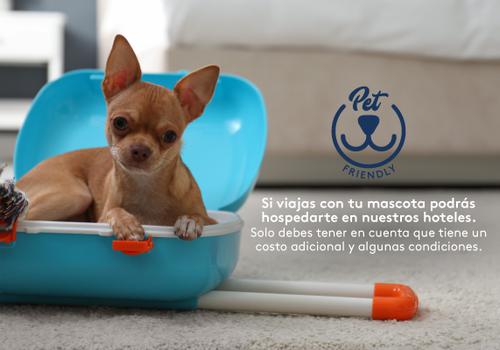 Admite mascotas Hotel ESTELAR Suites Jones Bogotá