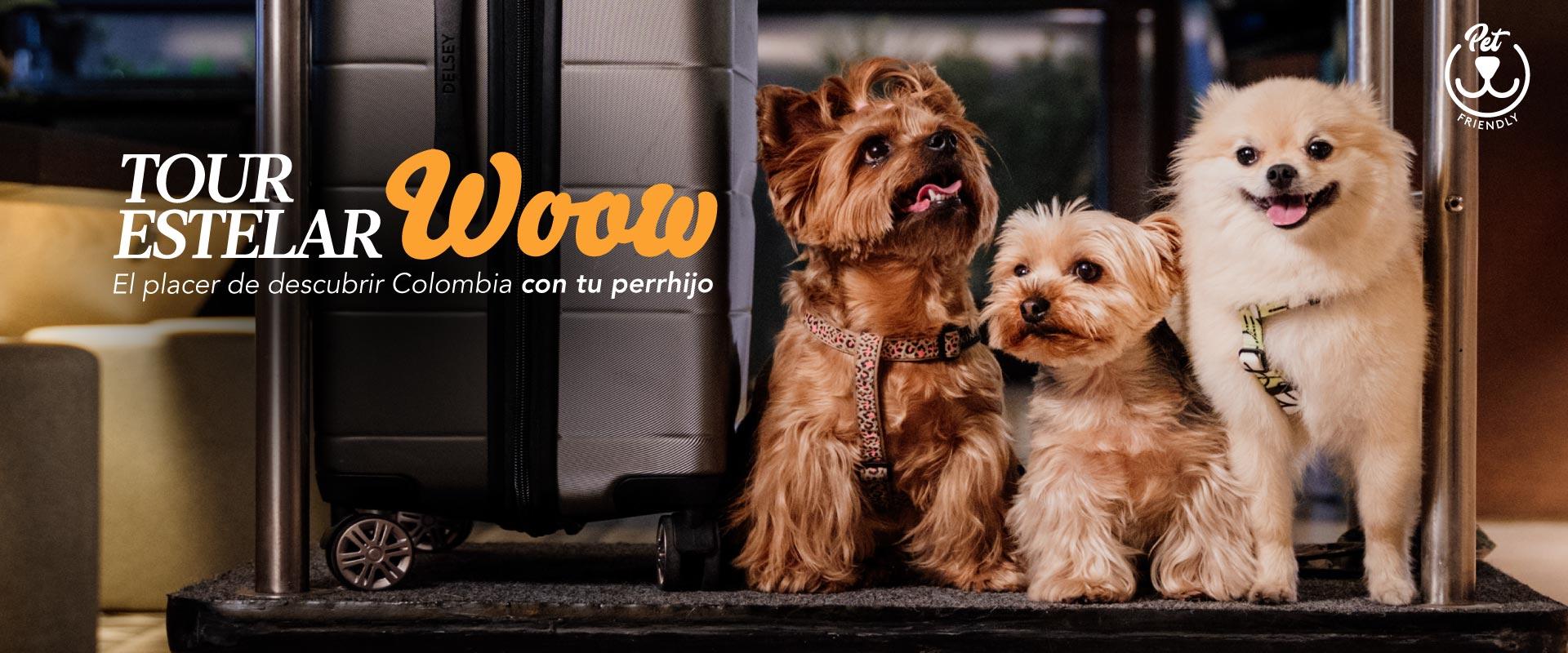 ESTELAR Suites Jones Colombia - Bogotá ESTELAR Suites Jones Colombia - Bogotá