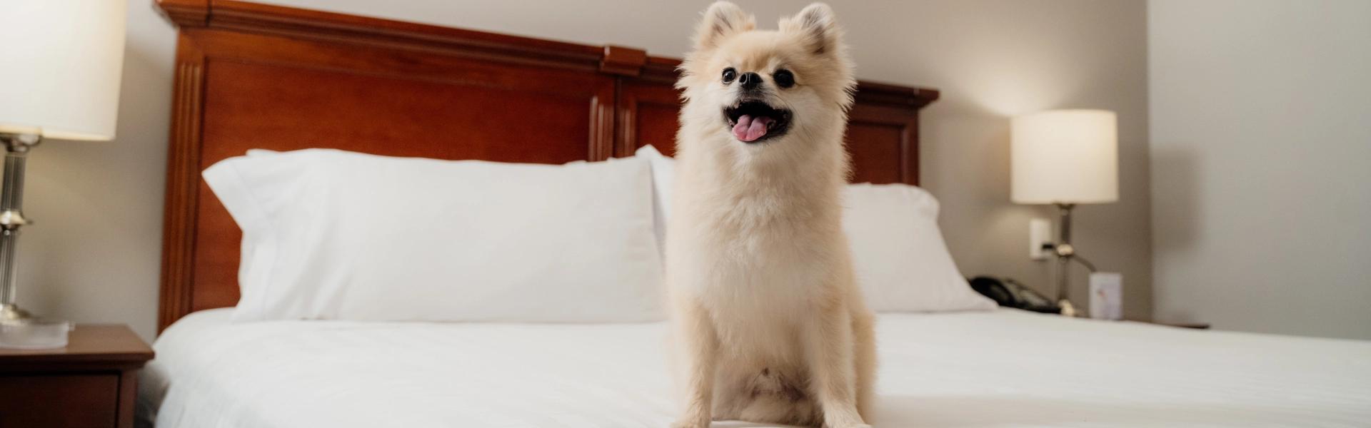 ESTELAR Suites Jones Colombia - Bogotá ESTELAR Suites Jones Colombia - Bogotá